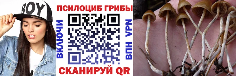 Псилоцибиновые грибы мицелий Татарск
